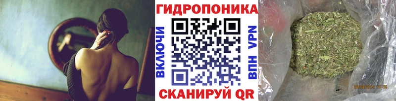 Бошки марихуана сатива  Кропоткин 